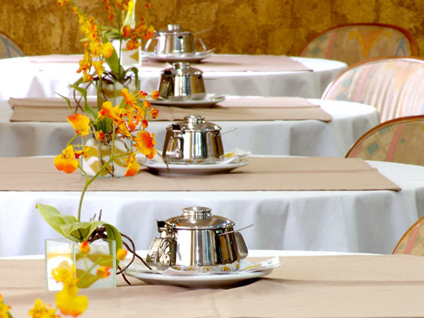 Master Express Baixa - Proximo A Ufrgs E A Santa Casa Hotel